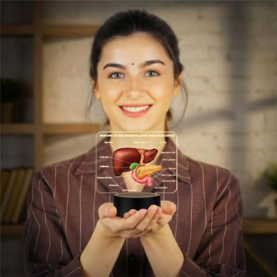 3D Illusion Liver Function LED Night Lamp Educational Study Table Lamp with Warm White Light Medical Student Room & Doctor Clinic Decor